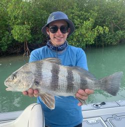 Fish for Black drum in Marco Island