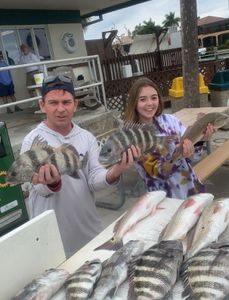 Marco island Florida Fishing Sheepshead Catch