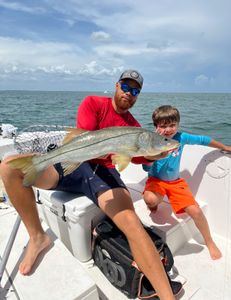 Epic Sarasota Fishing Trip 