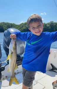 Experience Fishing Charters in Sarasota, Snook 