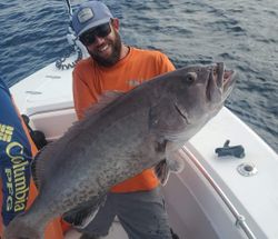 Fishing Charters Sarasota, Huge Grouper Catch