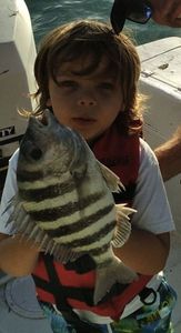 Kids Charter Fishing Sarasota FL, Sheepshead