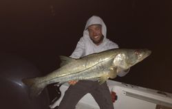 Snook Fishing Charter Sarasota FL Delight