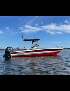 Fishing tour in Bradenton