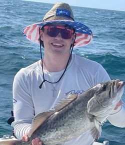 Gag grouper, a 17-inch fish, caught in FL