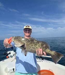 A gag grouper caught while fishing in FL