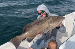 Gag Grouper, a 27-inch fish, caught in FL