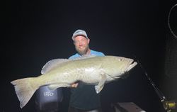 One person fishing in Bradenton
