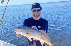 Redfish caught in FL