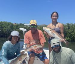 3 redfish caught on a fishing tour in FL