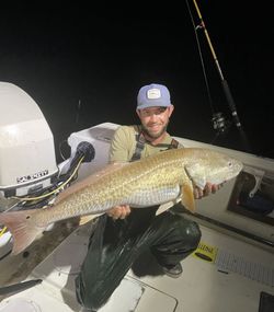 Redfish, 35 inches, fishing in FL