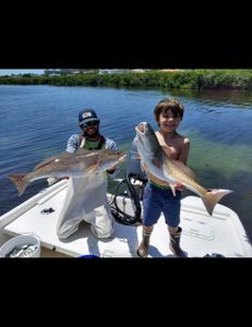 Two redfish, 32 inches each, caught during a fishing tour in FL