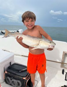 Redfish caught in FL on fishing tours