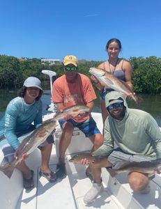 5 redfish and grey snapper caught during fishing tour in Bradenton