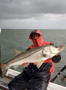 Snook caught fishing in FL