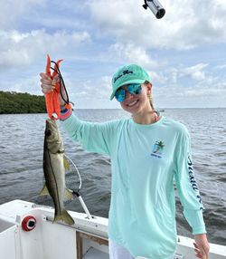 Snook fish caught while fishing in FL