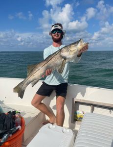 Snook fish caught in FL