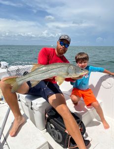 A snook fish caught in Bradenton, Florida during a fishing tour