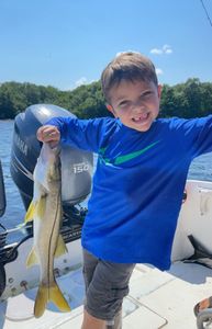 Snook fishing in FL