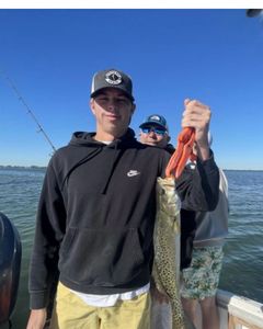 Spotted Weakfish, 18 inches, caught in Bradenton, fishing tour