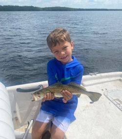 Spotted Weakfish caught while fishing in FL