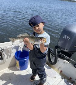 Spotted Weakfish caught on fishing tour in FL