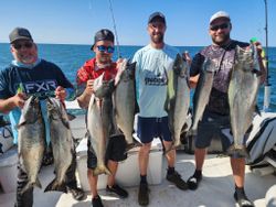 7 lake trout and pink salmon caught in ON