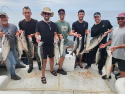 Ten pink and coho salmon caught on a fishing trip in ON