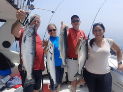 Coho and Chinook Salmon caught fishing in ON
