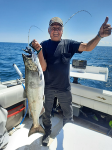 Coho salmon fishing in Ontario