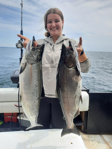 Image of 2 Coho Salmon, a 25 inch catch, in Ontario, Canada