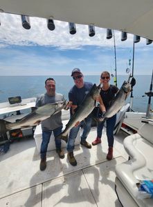 Three rainbow trout caught fishing in ON