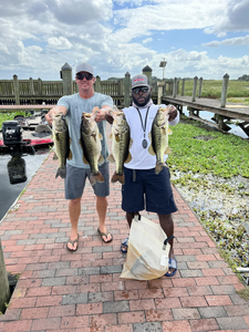 3 largemouth bass caught fishing in FL