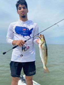 Waves of fun in Corpus bay