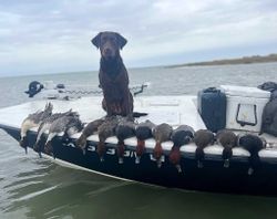 Hunting Trip in Corpus Christi, TX