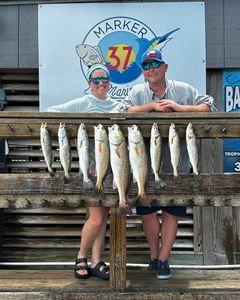 8 spotted weakfish, redfish, and corpus christi fishing catch
