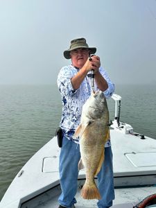 One black drum fish caught in Corpus Christi