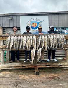 8 black drum and redfish caught in Corpus Christi