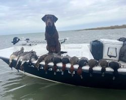 Lone angler fishing in Corpus Christi
