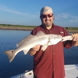 Redfish caught in TX