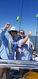 Spotted weakfish caught in Corpus Christi