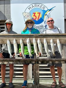 8 spotted weakfish caught by 4 people fishing in Corpus Christi