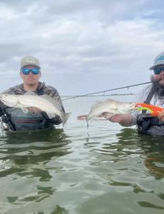 Two spotted weakfish, 17 inches long, caught while fishing in TX
