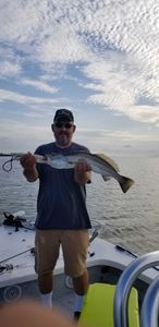 Spotted Weakfish, a 20-inch fish, caught while fishing in TX