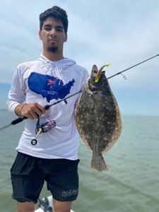 Summer Flounder, 18 inches, fishing in TX