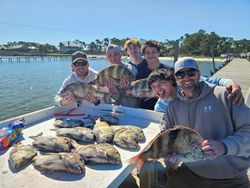 Stacked sheepshead and happy anglers!