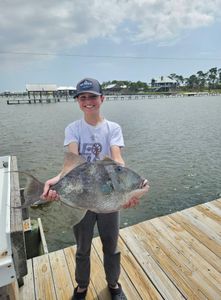 Chunky Triggerfish and a proud young angler!