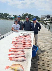 Loaded table of tasty Snapper!