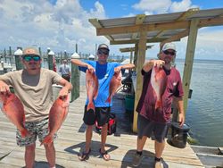 Hooked Up Near Mobile Bay