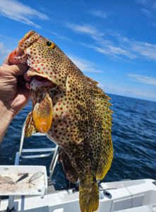 Fort Morgan Angler's Paradise